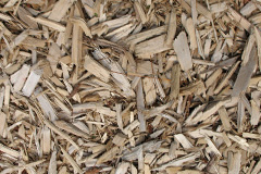 biomass boilers Trevilla